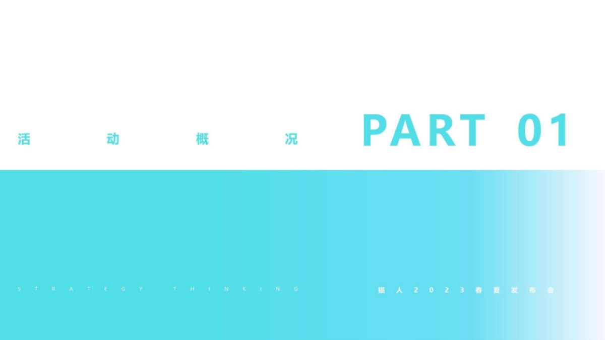 猫人战略发布会活动策划方案_第7页