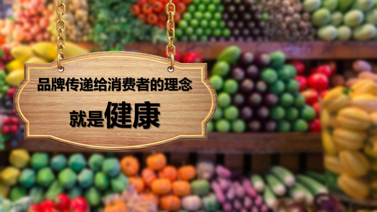 莫斯利安路演方案_第3页