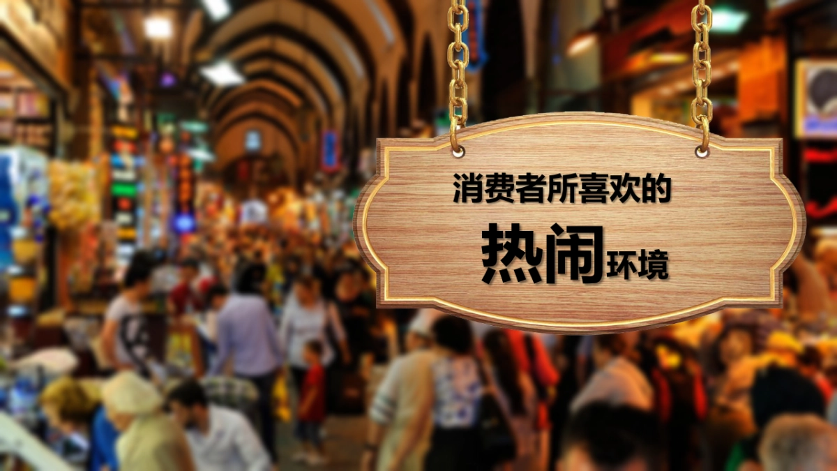 莫斯利安路演方案_第4页