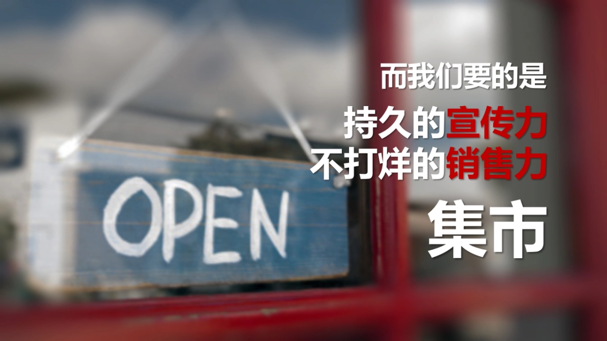 莫斯利安路演方案_第9页