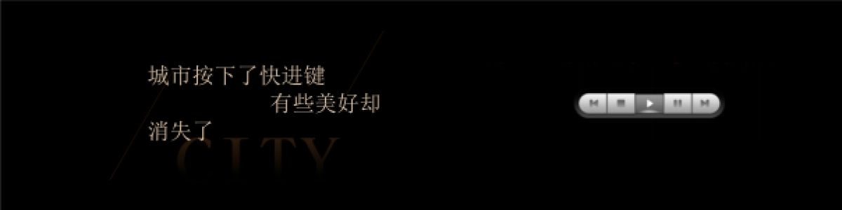 莆田阳光城檀悦发布会_第10页