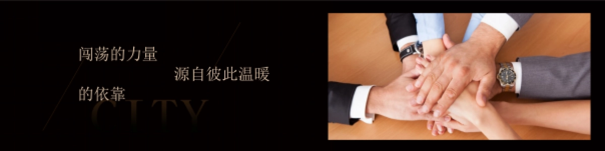 莆田阳光城檀悦发布会_第6页