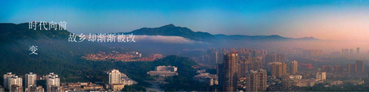 莆田阳光城檀悦发布会_第7页