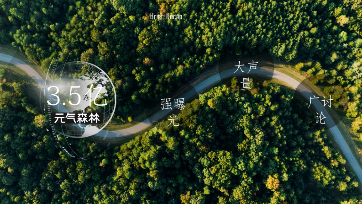 气泡水品牌发布会营销策划方案_第3页