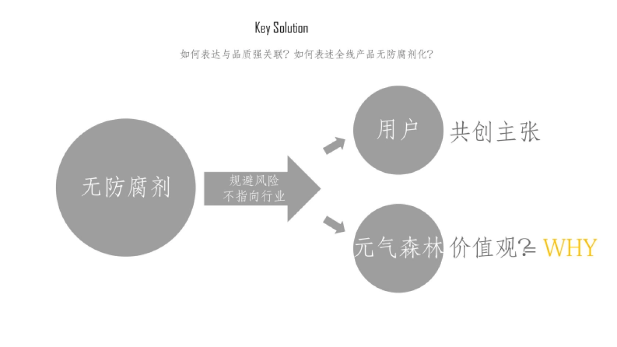 气泡水品牌发布会营销策划方案_第5页