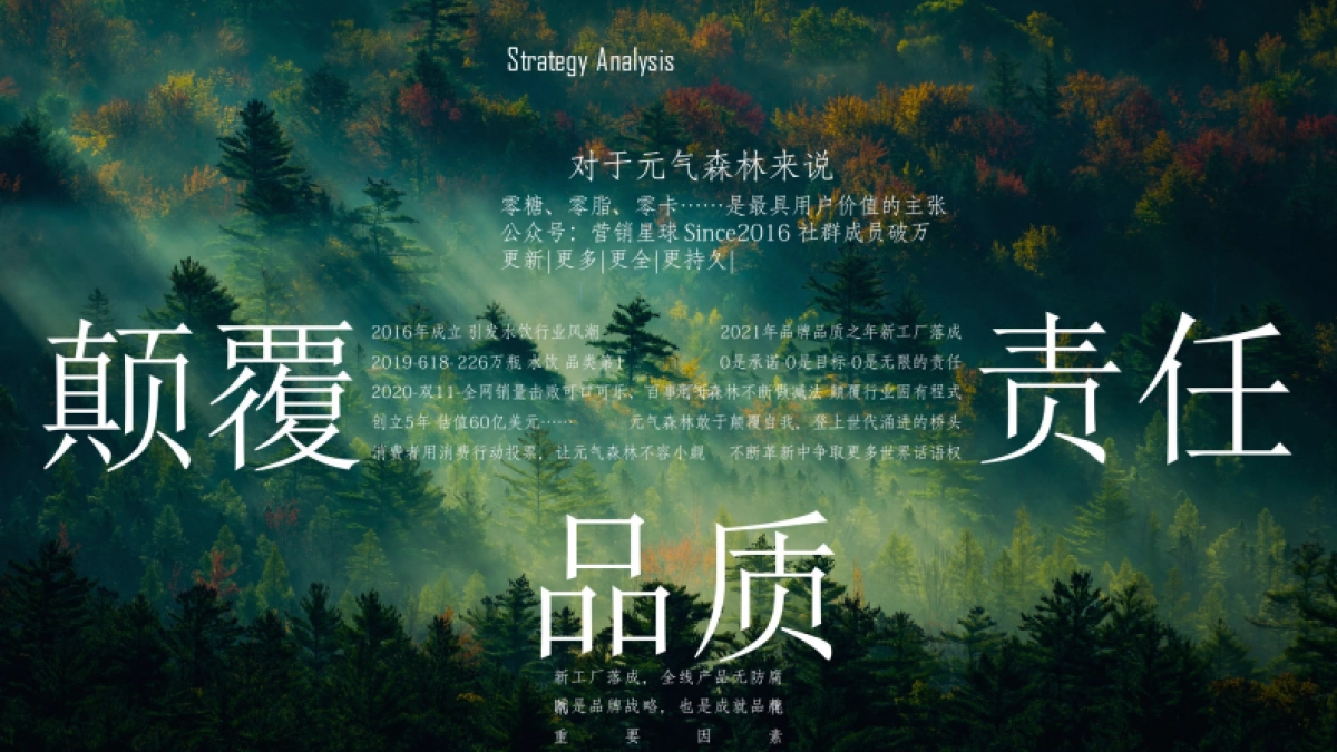 气泡水品牌发布会营销策划方案_第8页