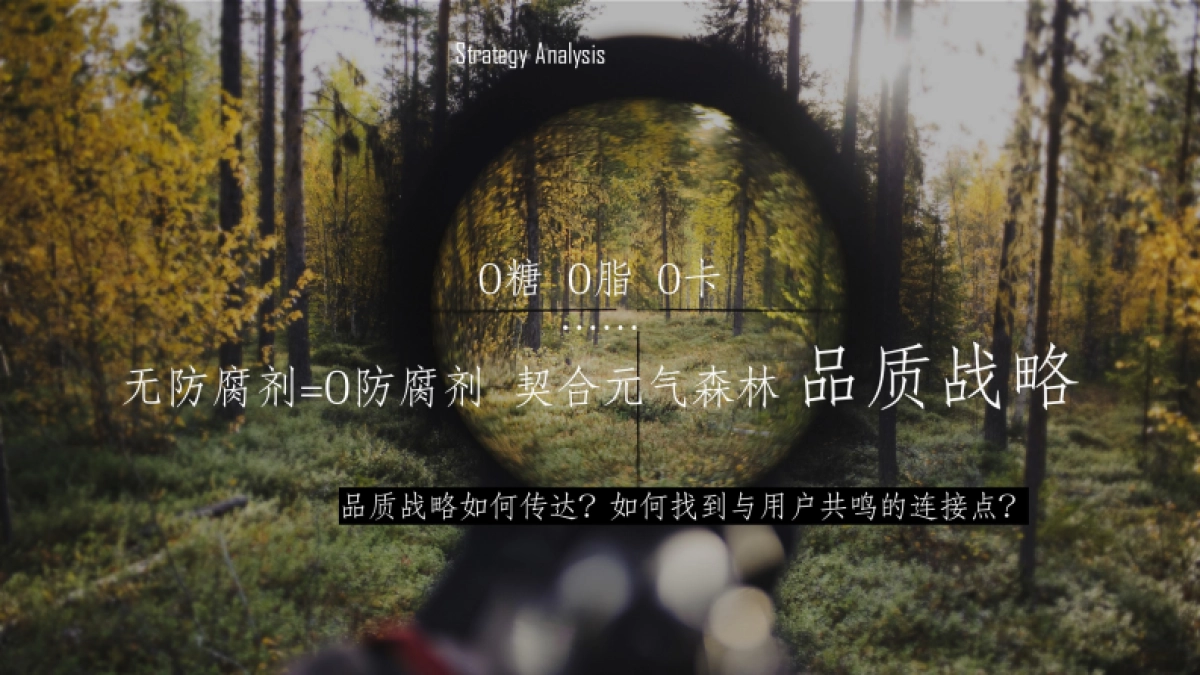 气泡水品牌发布会营销策划方案_第9页