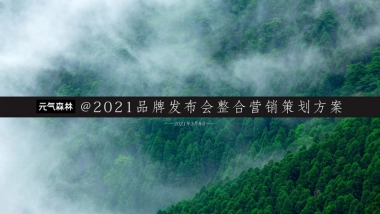 气泡水品牌发布会营销策划方案