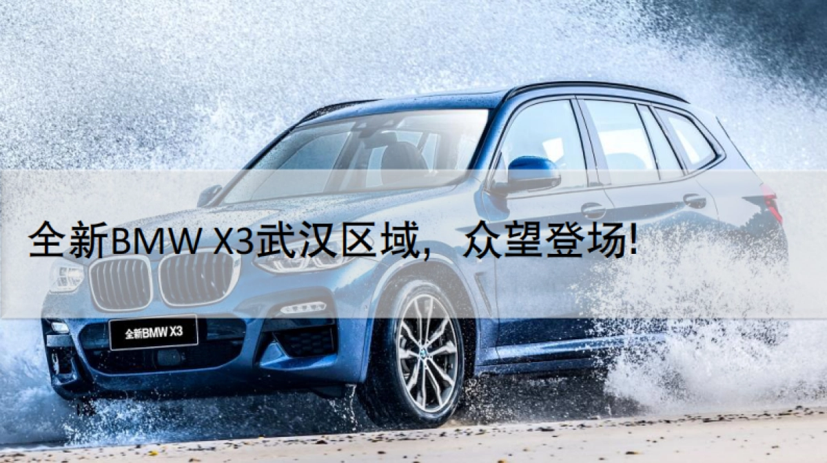 全新BMW X3武汉地区上市鉴赏会活动方案_第10页