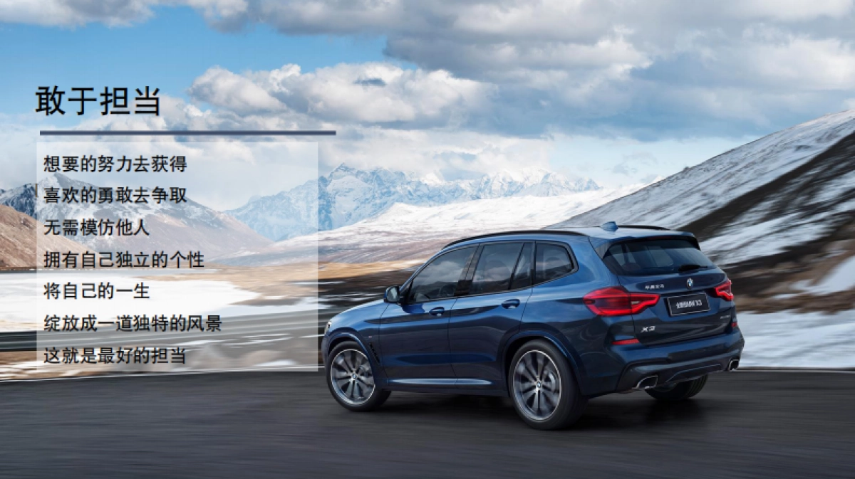 全新BMW X3武汉地区上市鉴赏会活动方案_第8页