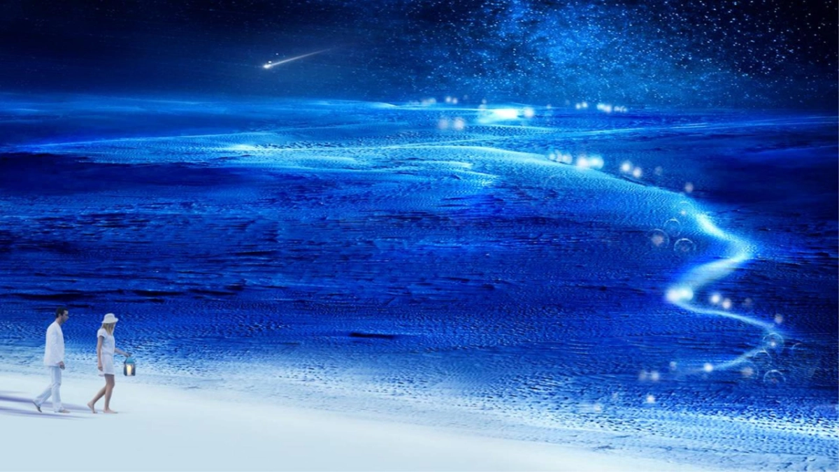 塞尚沟通-新尚·轩辕湖策略整合与调性路演报告_第2页