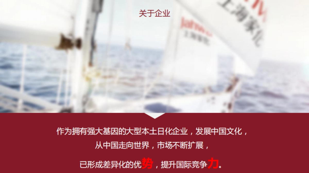 上海家化企业新品发布会传播方案 _第9页