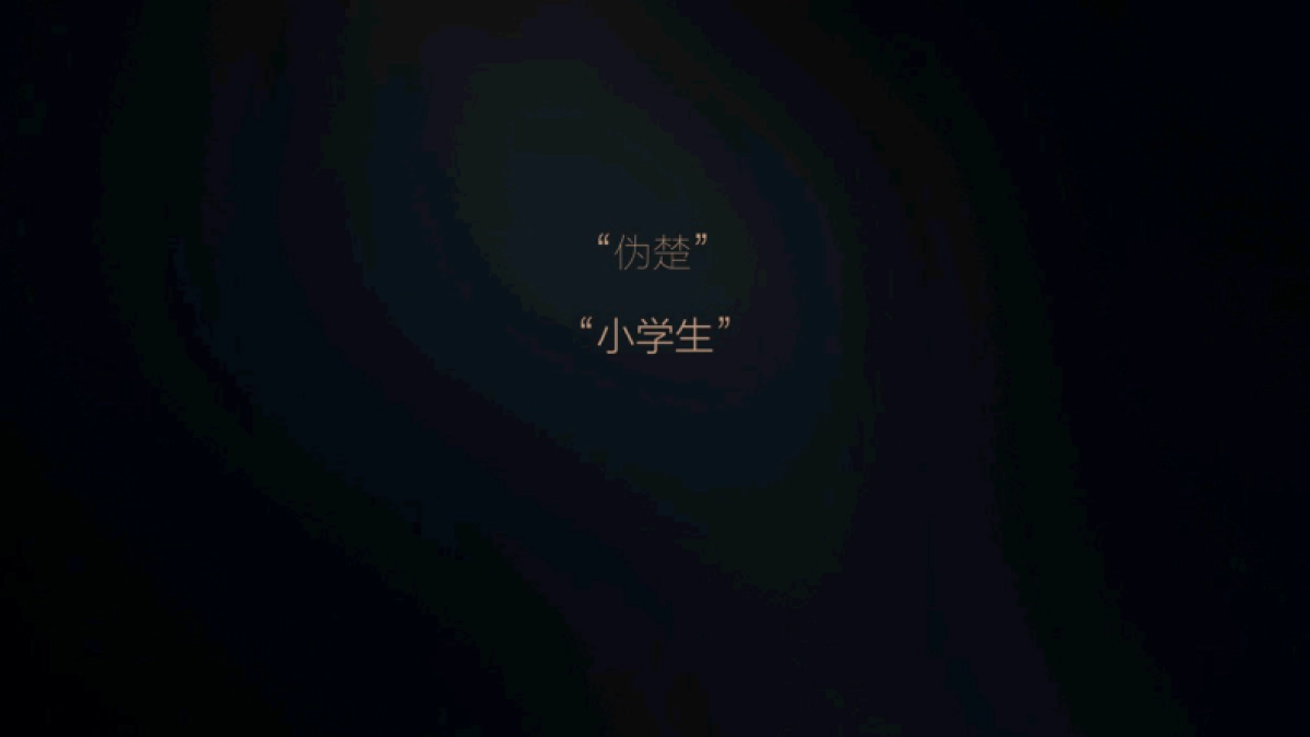 世贸璀璨系产品发布会讲解PPT-55P_第3页