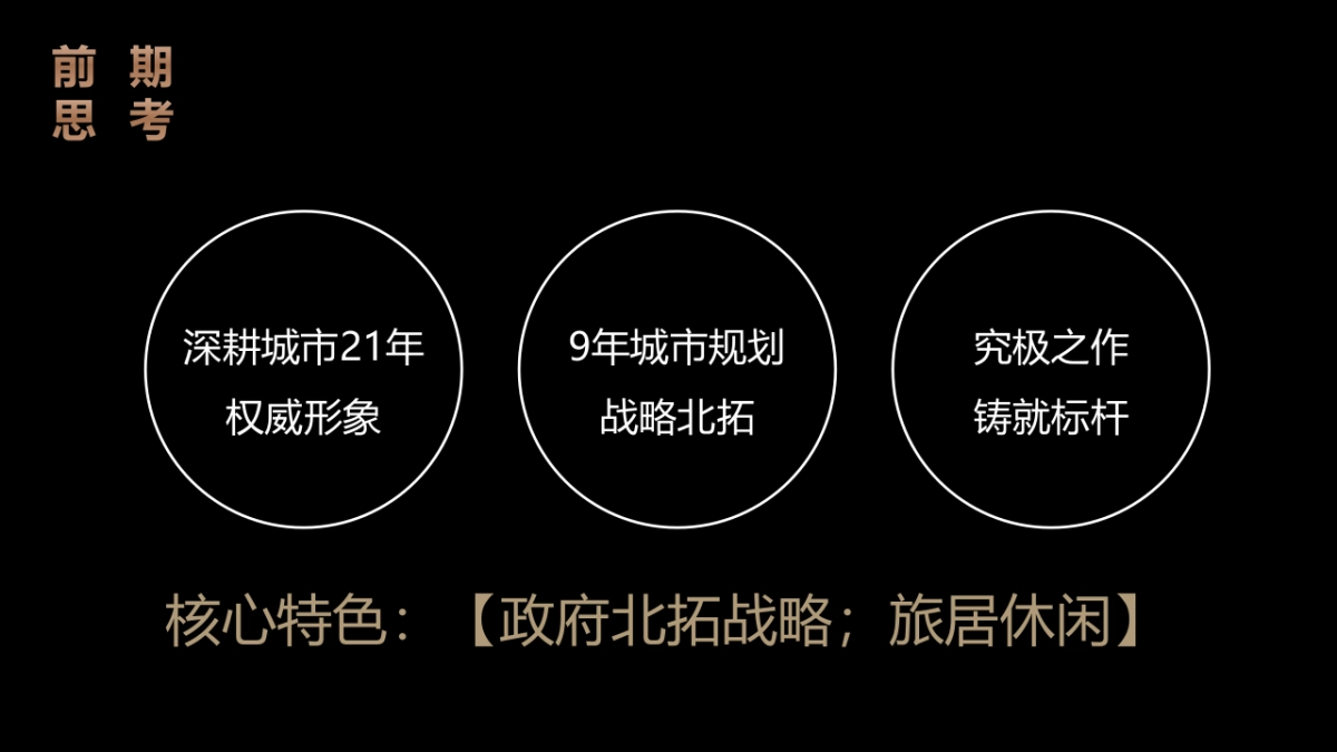 双子星发布会旅居项目_第2页