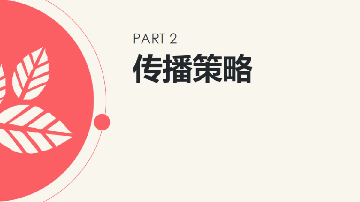 素行品牌发布传播方案_第5页