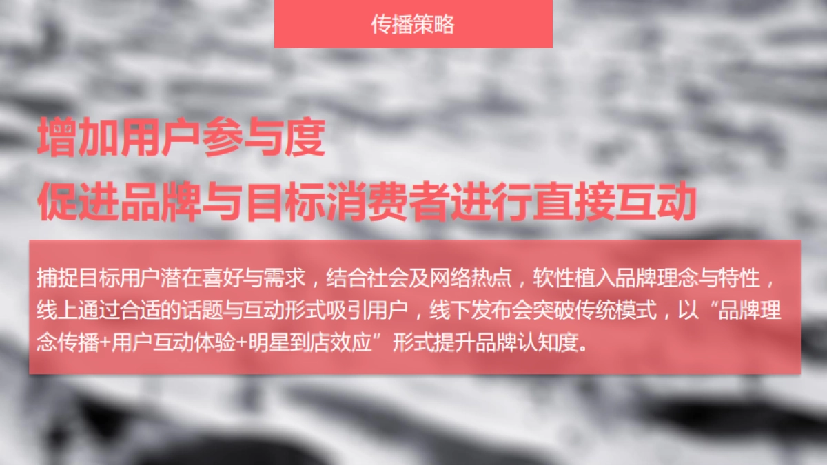 素行品牌发布传播方案_第8页