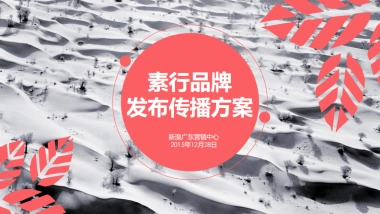 素行品牌发布传播方案