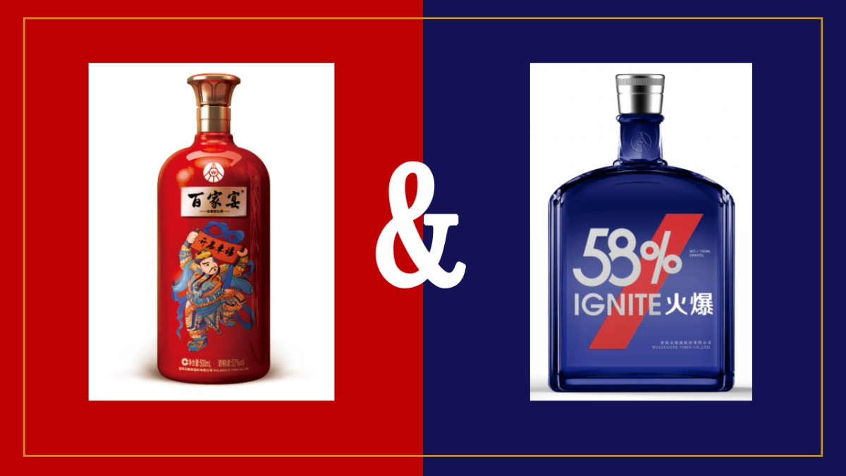 五粮液系列酒两大战略单品联动发布盛典策划案_第10页