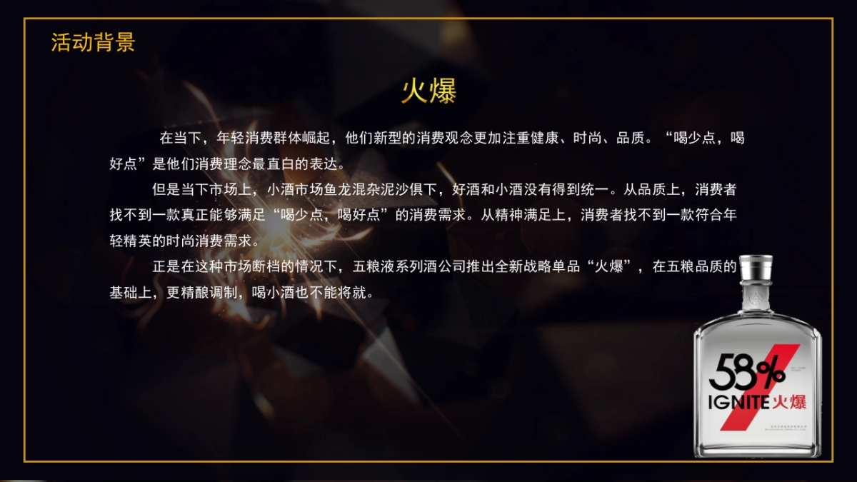 五粮液系列酒两大战略单品联动发布盛典策划案_第5页