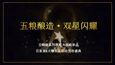 五粮液系列酒两大战略单品联动发布盛典策划案