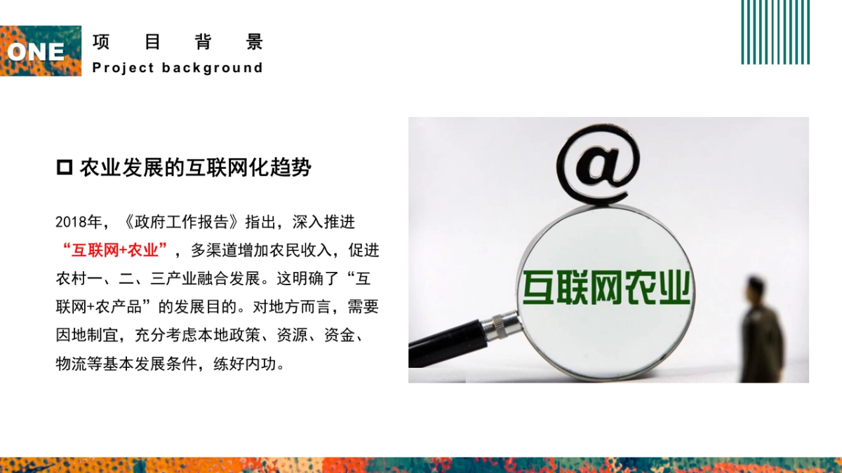 乡村振兴县长代言行动暨品牌发布会方案_第4页