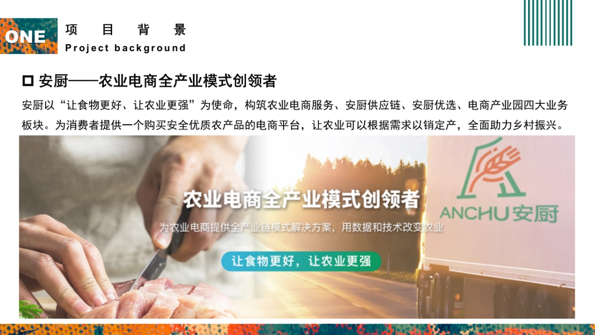 乡村振兴县长代言行动暨品牌发布会方案_第5页