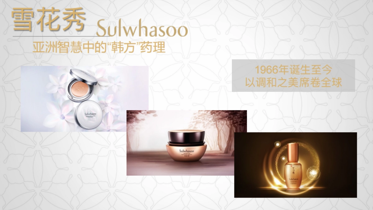 雪花秀母亲节路演方案_第5页