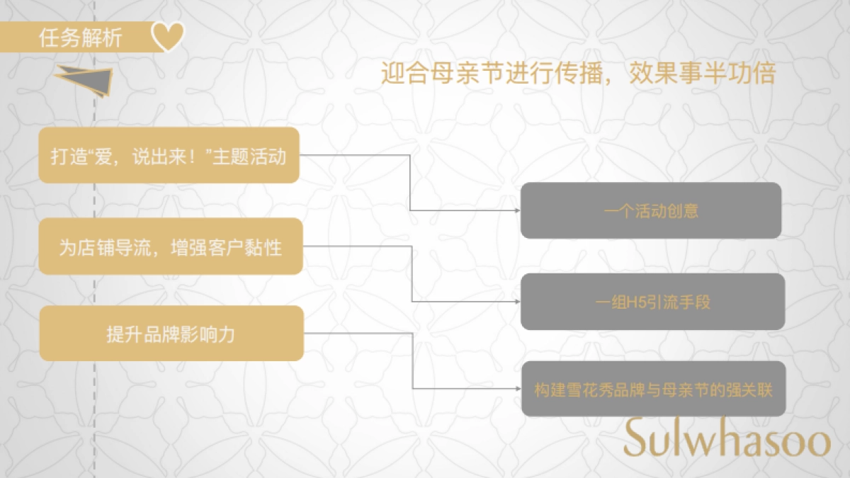 雪花秀母亲节路演方案_第6页