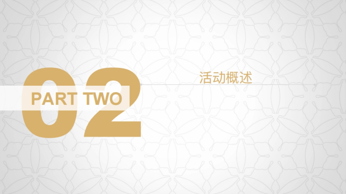 雪花秀母亲节路演方案_第7页