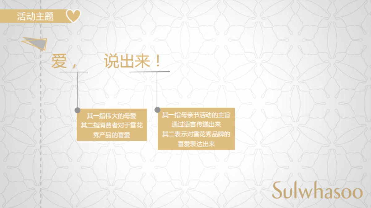 雪花秀母亲节路演方案_第9页