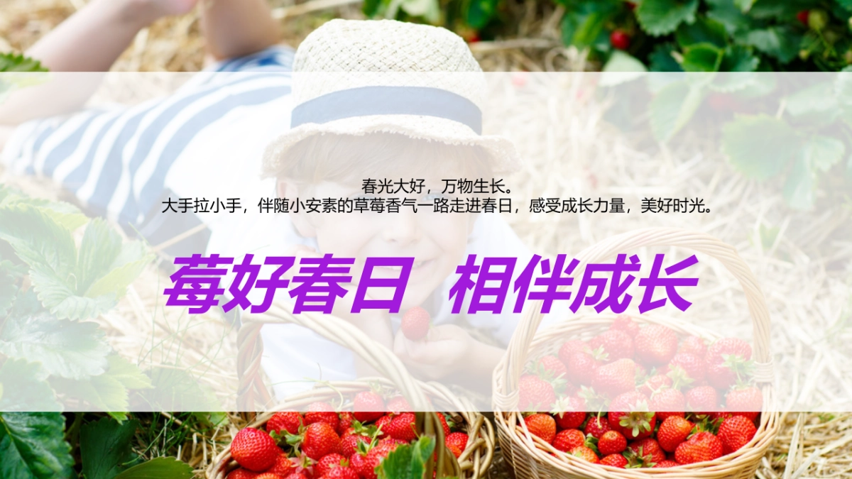 雅培跨境小安素新口味上市方案_第8页