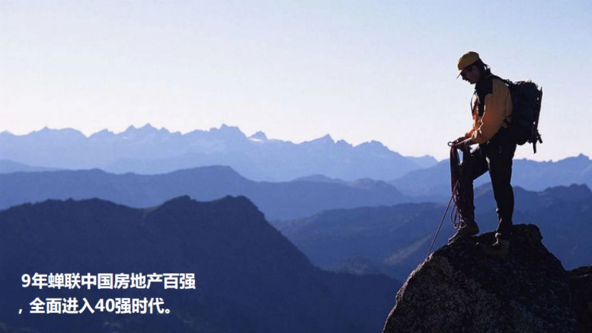 禹洲中央城产品发布会活动方案_第5页