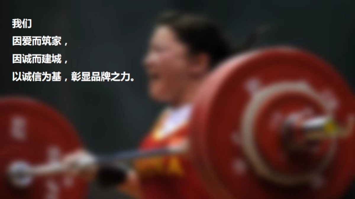 禹洲中央城产品发布会活动方案_第6页