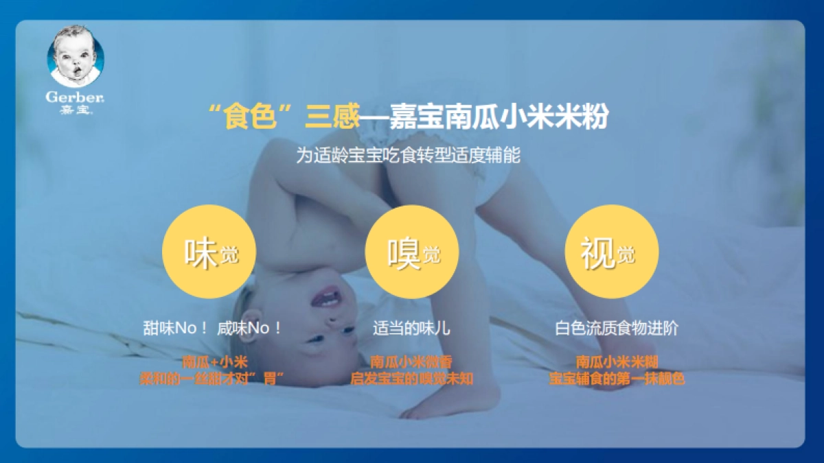 嘉宝新品618方案_第10页