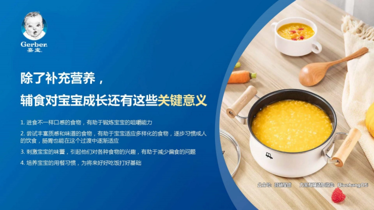嘉宝婴儿辅食新品618方案_第3页