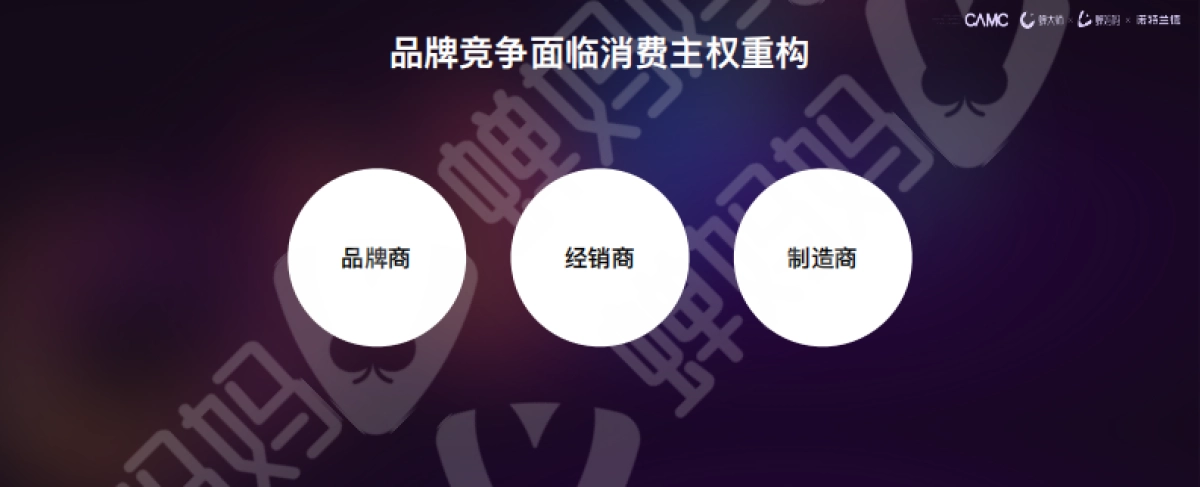 贾鹏雷-ChatGPT引发行业变革,电商未来将如何狂飙_第10页