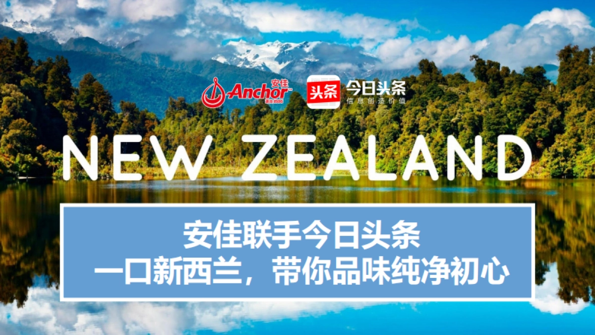 “一口新西兰”安佳双十一预热营销方案_第10页