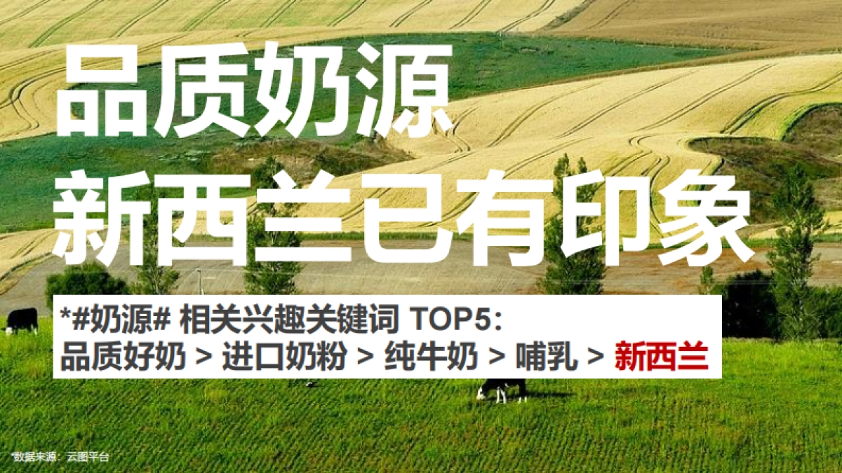 “一口新西兰”安佳双十一预热营销方案_第7页