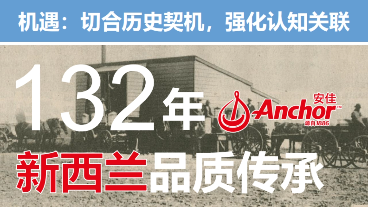 “一口新西兰”安佳双十一预热营销方案_第9页