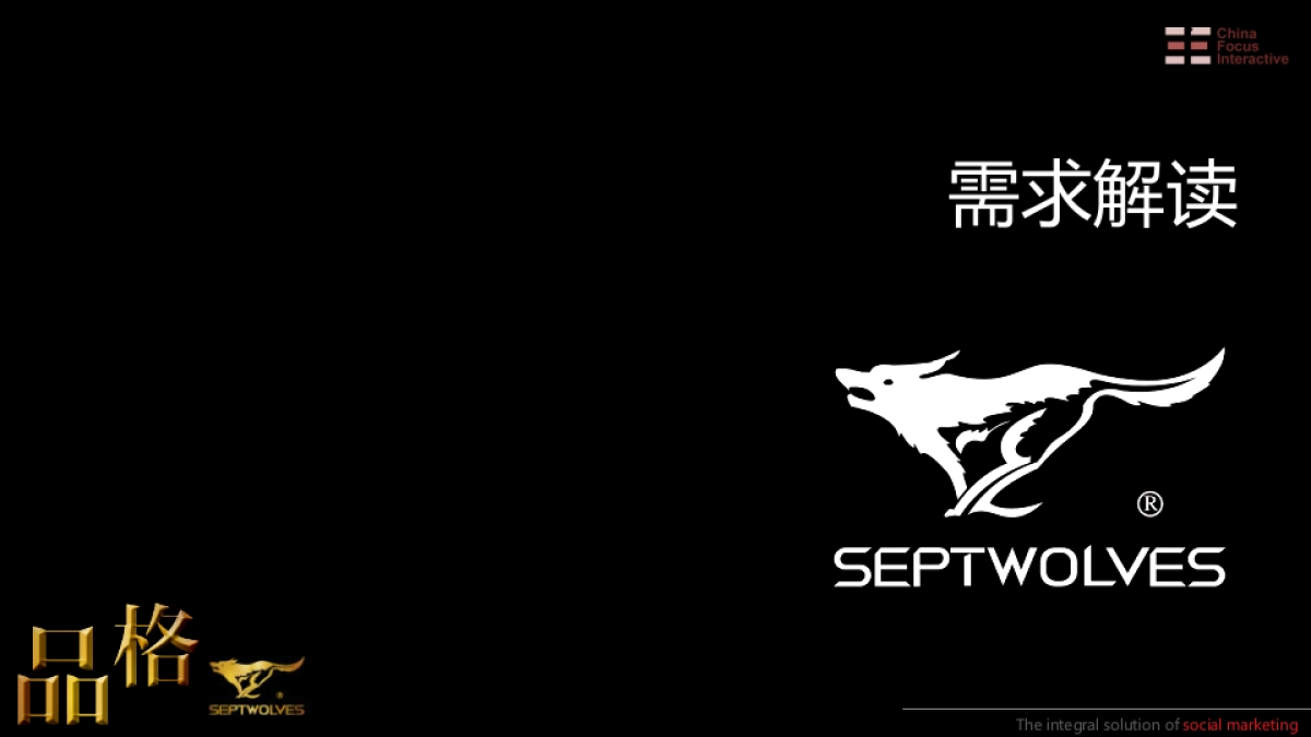 2013七匹狼双十一网络传播方案-59P _第5页