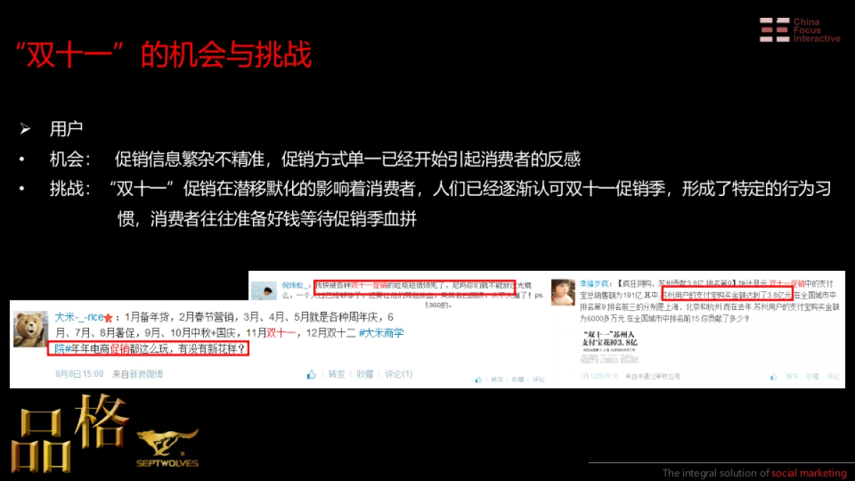 2013七匹狼双十一网络传播方案-59P _第8页