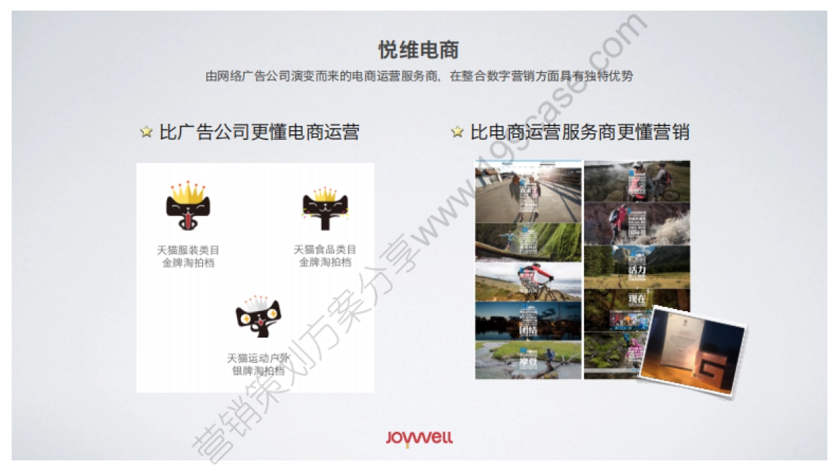 2016东阿阿胶双十一活动创意暨电商运营沟通案-76P _第4页