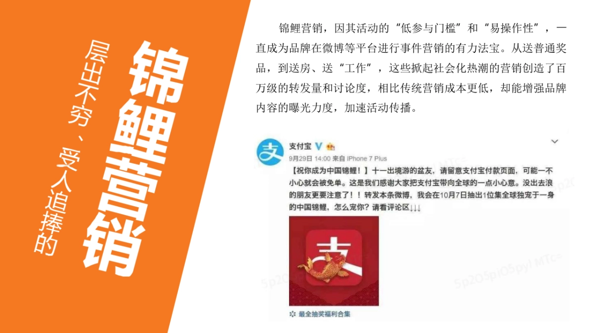 2022年618购物狂欢节策划方案-29P_第5页