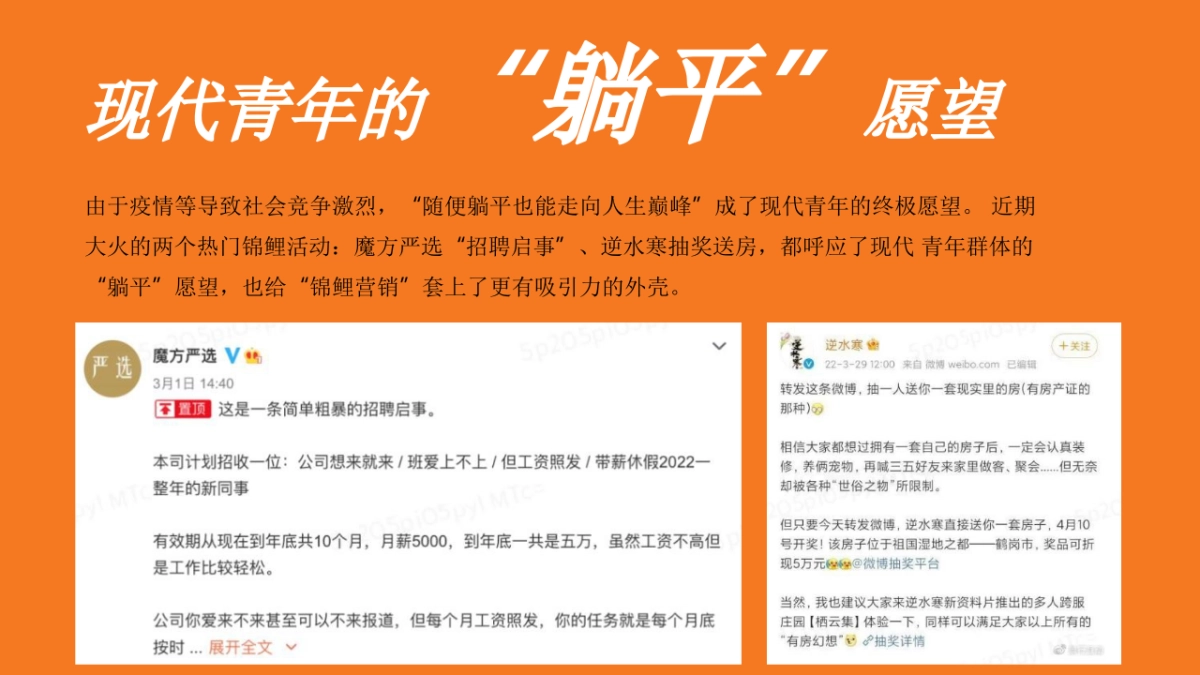 2022年618购物狂欢节策划方案-29P_第6页