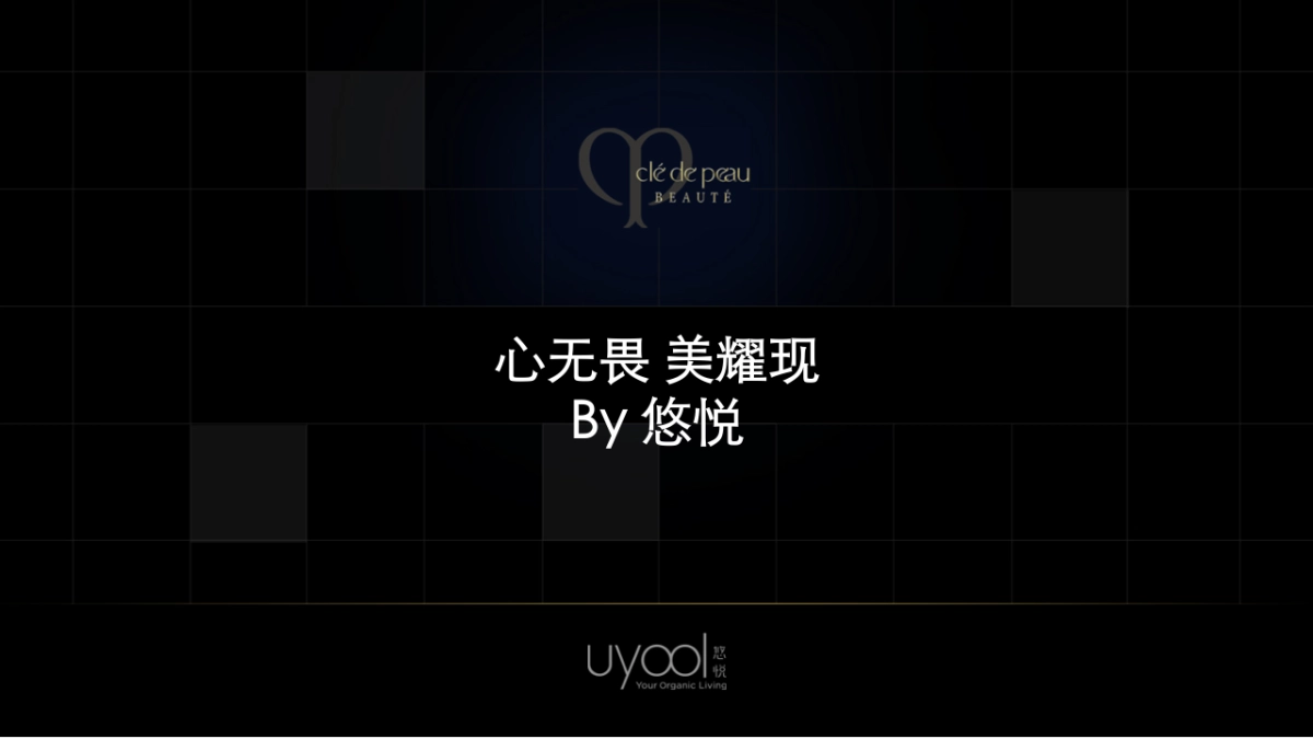 CPB双十一营销策划方案_第1页