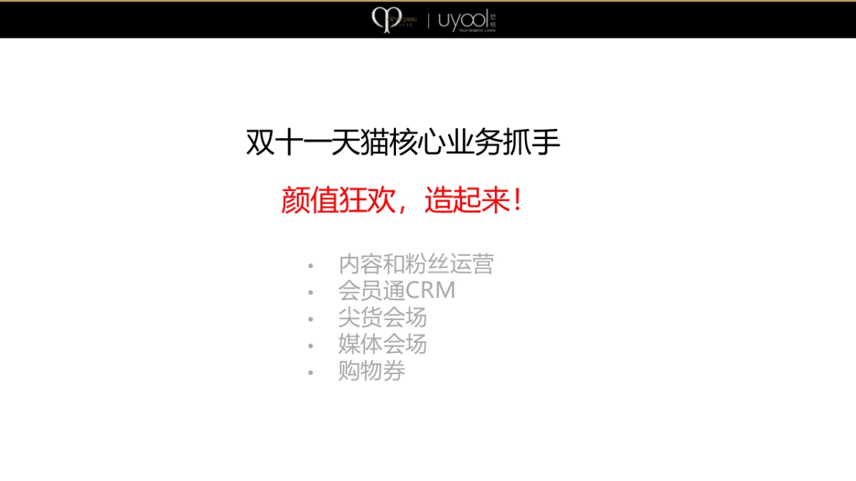 CPB双十一营销策划方案_第3页