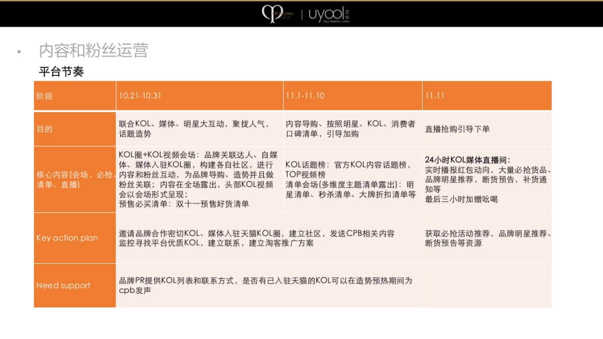 CPB双十一营销策划方案_第4页