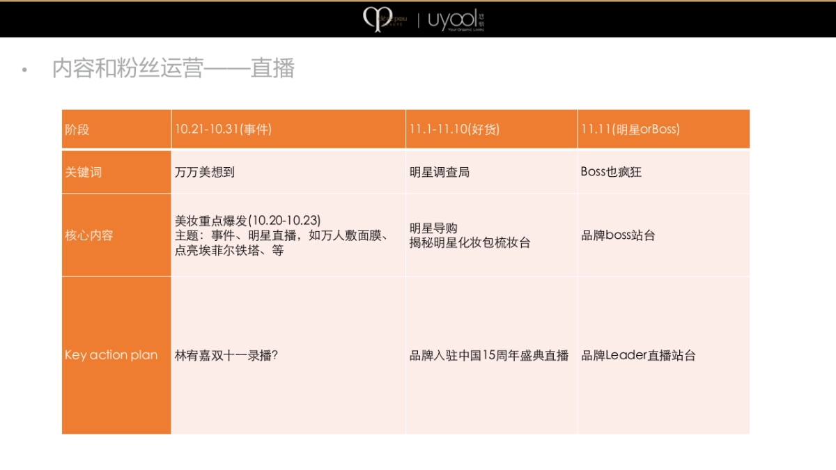 CPB双十一营销策划方案_第5页