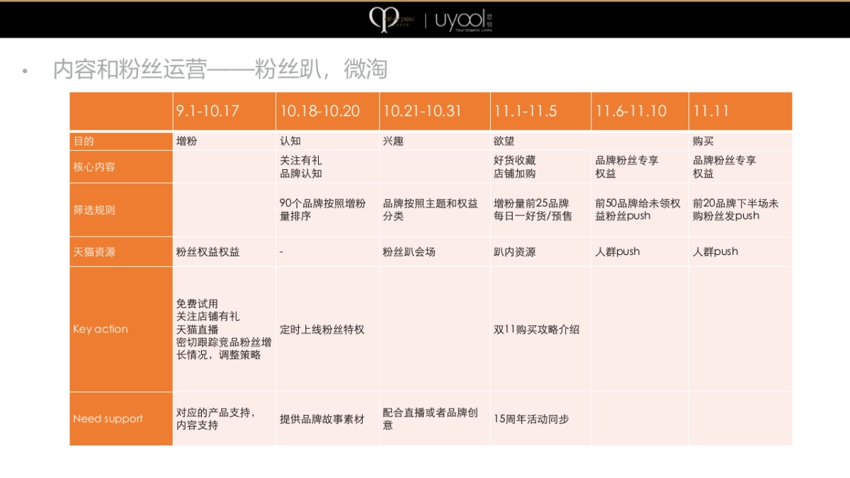 CPB双十一营销策划方案_第6页