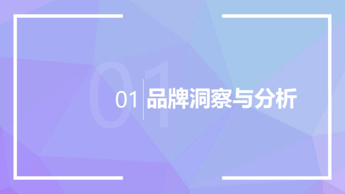 安儿乐双十一全域营销方案_第2页